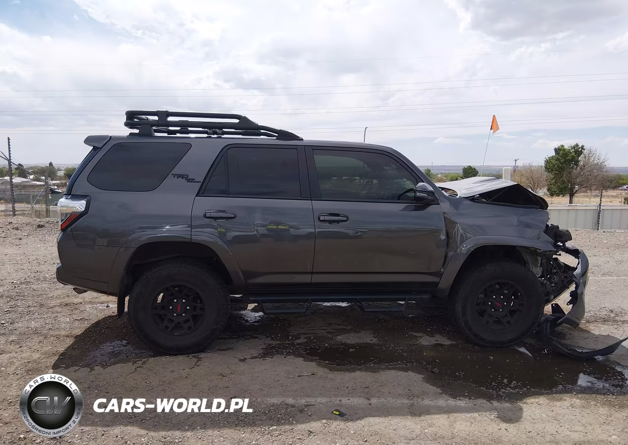 2019 Toyota 4Runner Trd Off Road Premium VIN:JTEBU5JR2K5665328 - 13