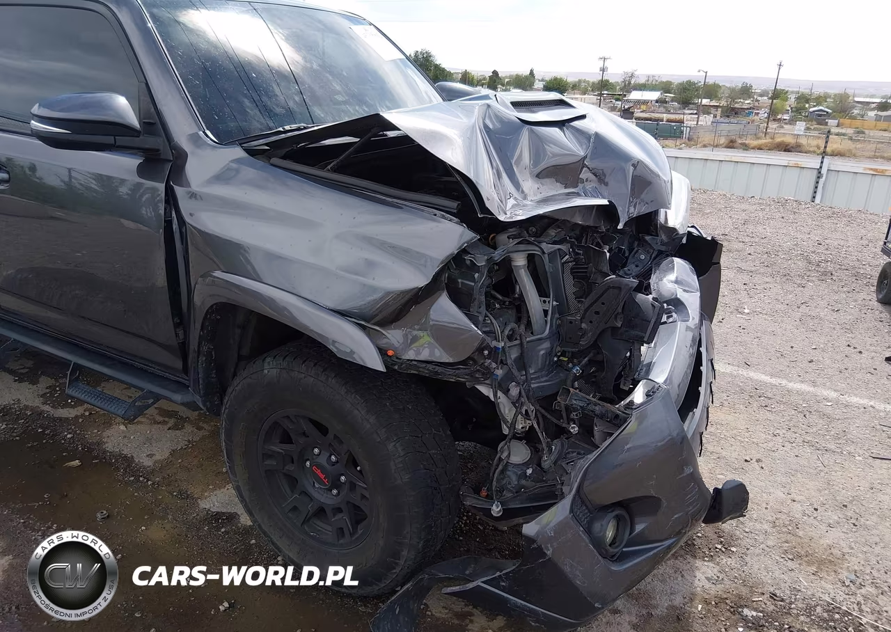 2019 Toyota 4Runner Trd Off Road Premium VIN:JTEBU5JR2K5665328 - 17
