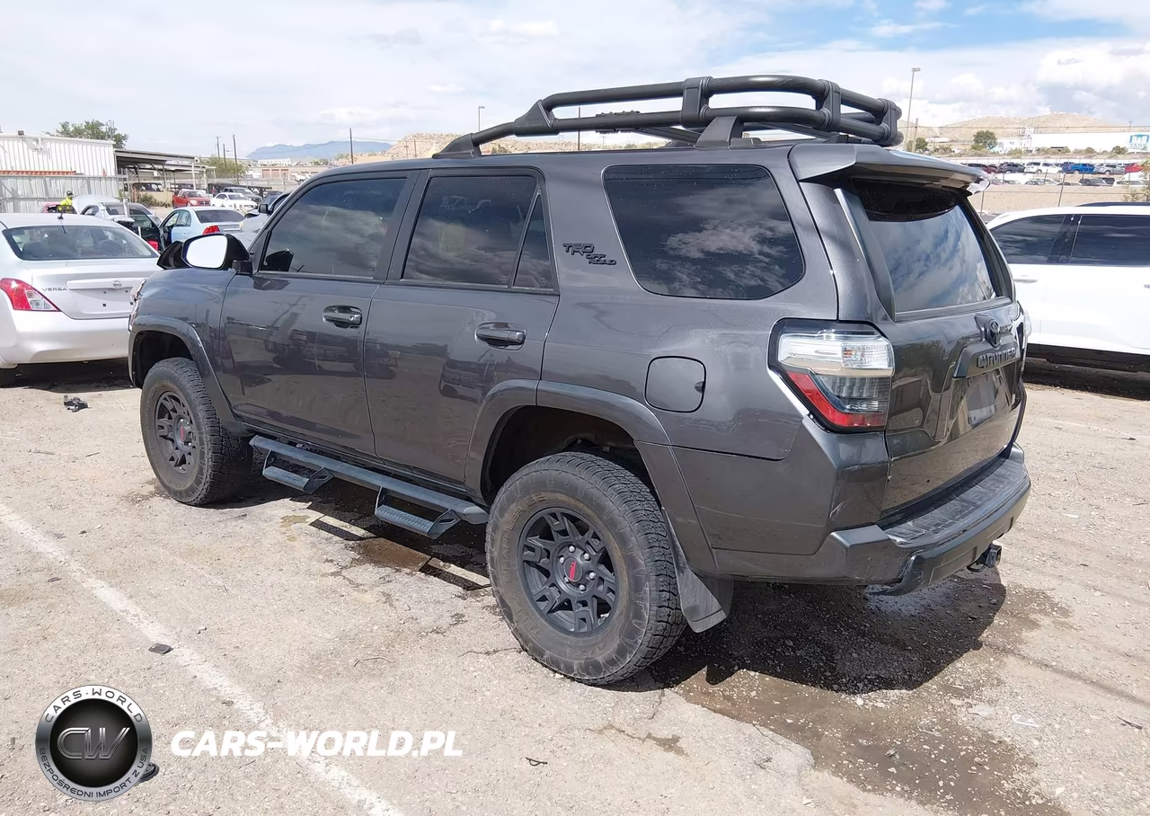 2019 Toyota 4Runner Trd Off Road Premium VIN:JTEBU5JR2K5665328 - 3