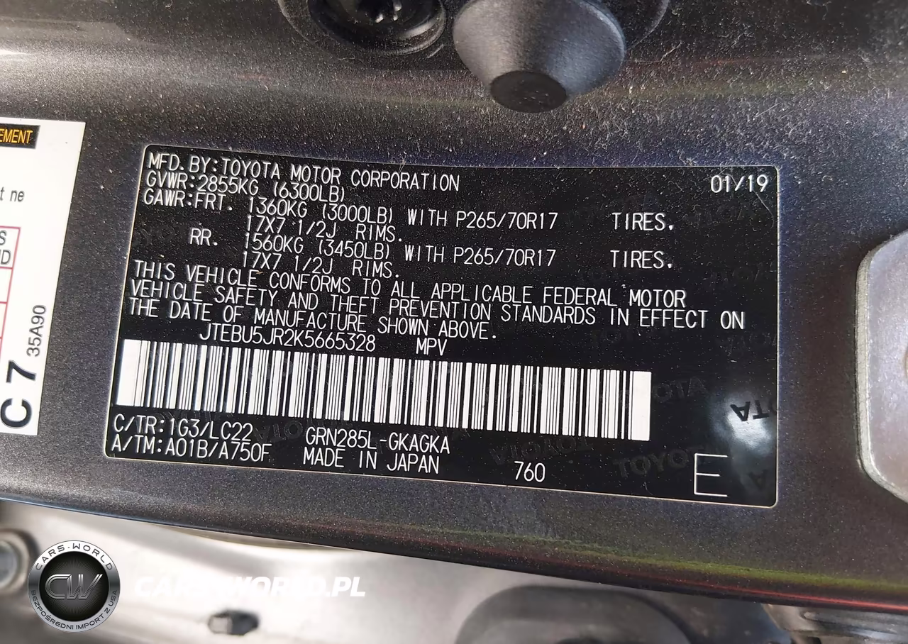 2019 Toyota 4Runner Trd Off Road Premium VIN:JTEBU5JR2K5665328 - 9