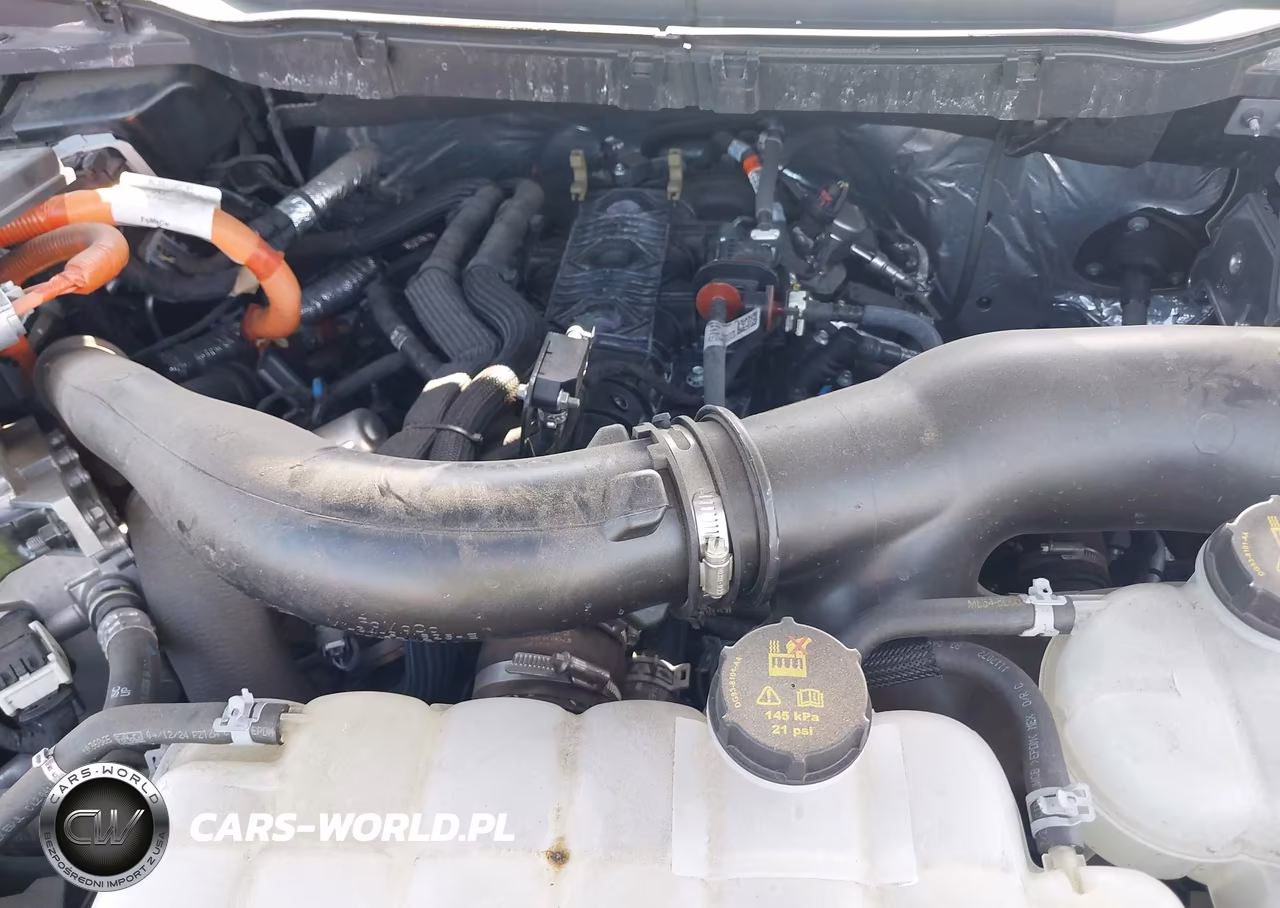 2024 Ford F-150 Lariat VIN:1FTFW5LD0RFB48244 - 10