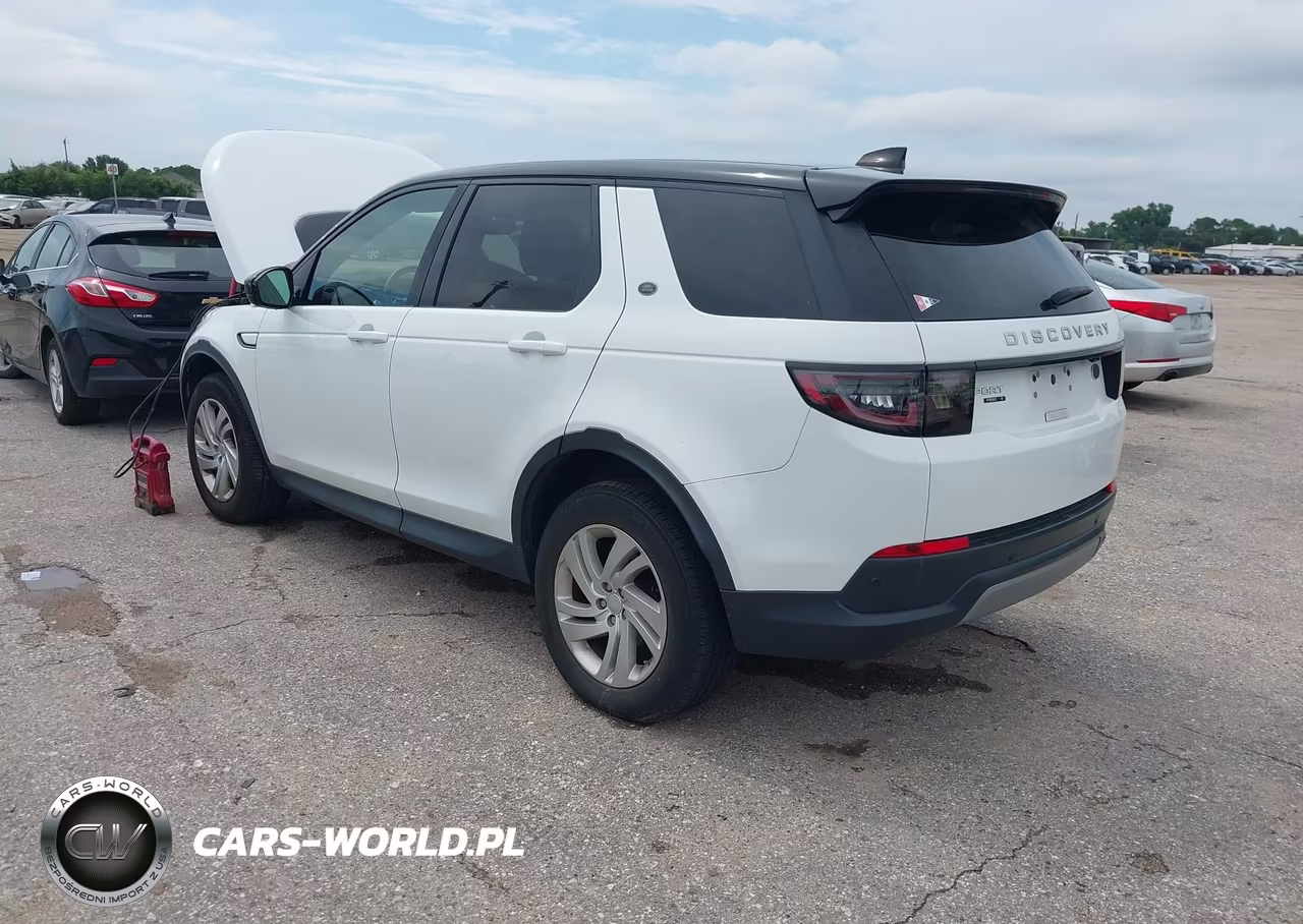 2020 Land Rover Discovery Sport S VIN:SALCJ2FX6LH836341 - 3