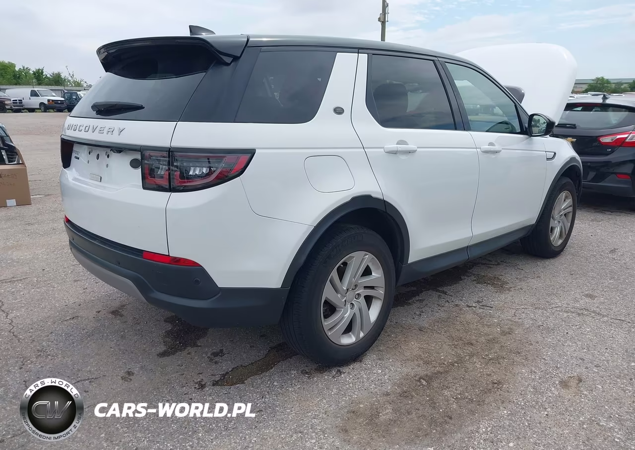 2020 Land Rover Discovery Sport S VIN:SALCJ2FX6LH836341 - 4