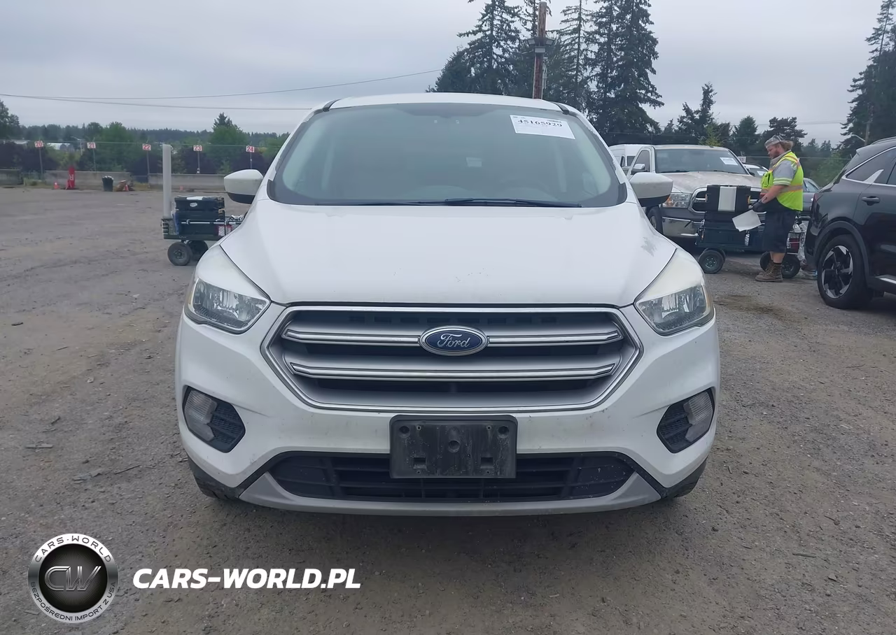 2017 Ford Escape Se VIN:1FMCU9GD4HUD66686 - 12