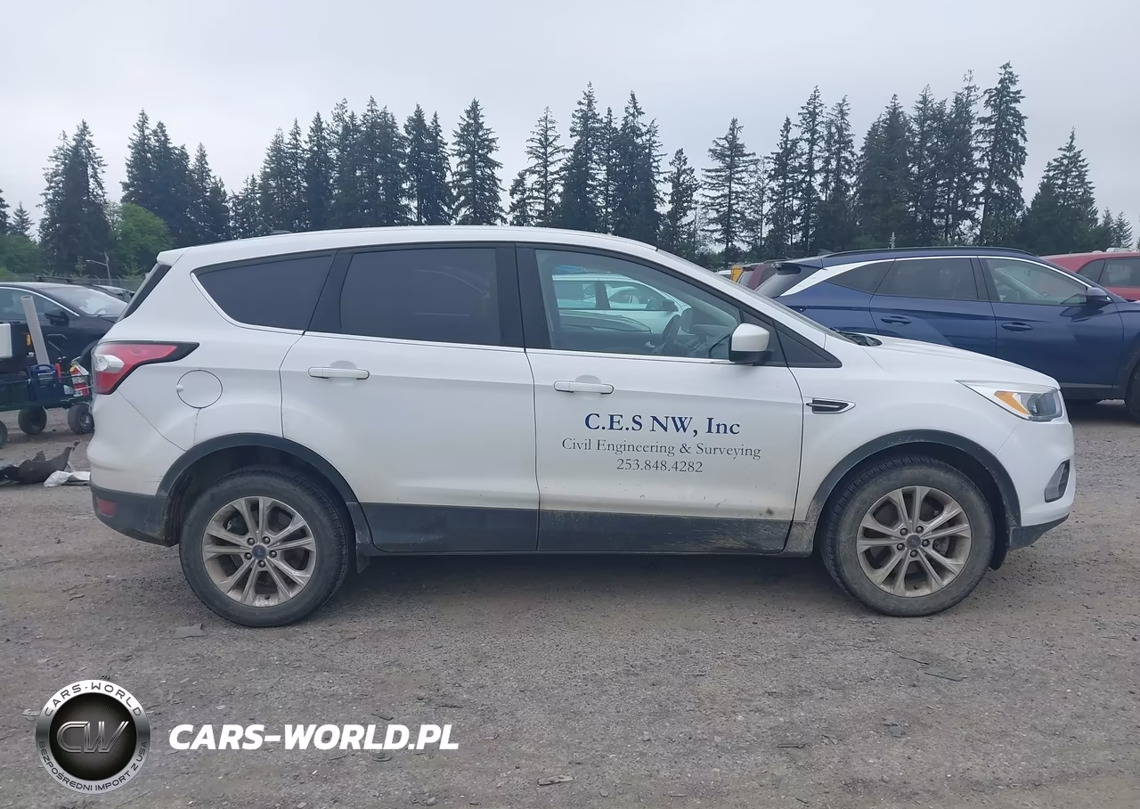 2017 Ford Escape Se VIN:1FMCU9GD4HUD66686 - 13