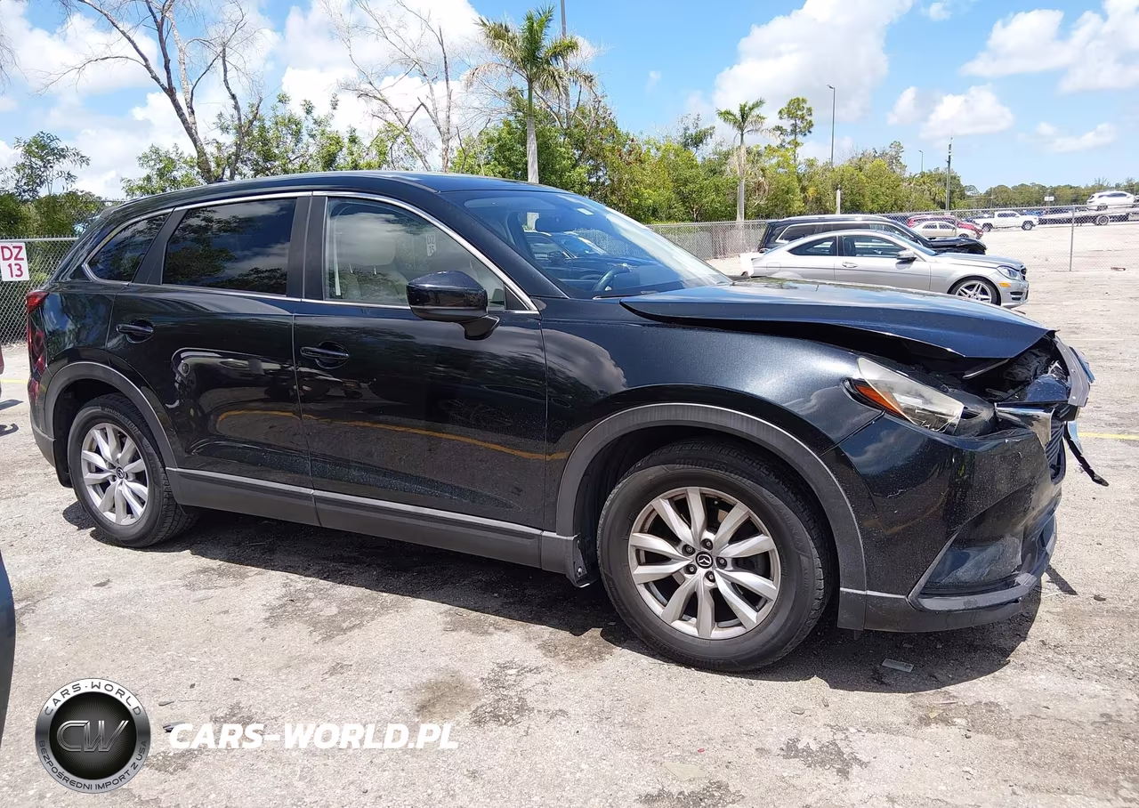 2016 Mazda Cx-9 Sport VIN:JM3TCABY2G0112989 - 13
