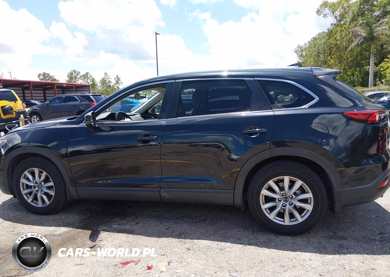 2016 Mazda Cx-9 Sport VIN:JM3TCABY2G0112989 - 14