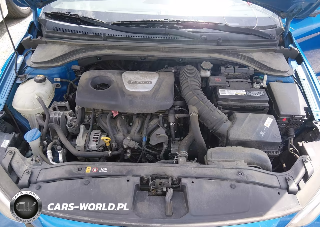 2017 Hyundai Elantra Sport VIN:KMHD04LB9HU327776 - 10
