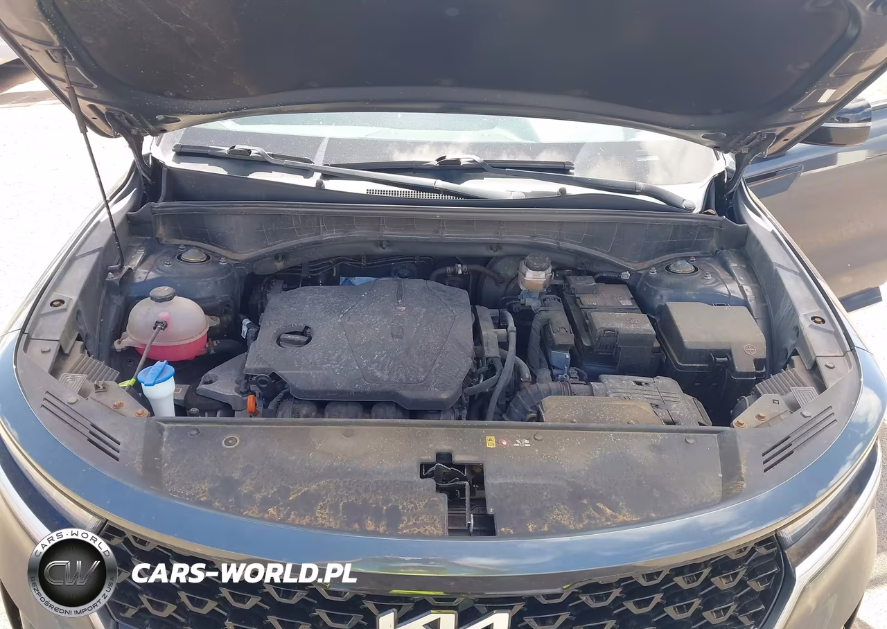 2023 Kia Sorento S VIN:5XYRL4LC0PG190057 - 10