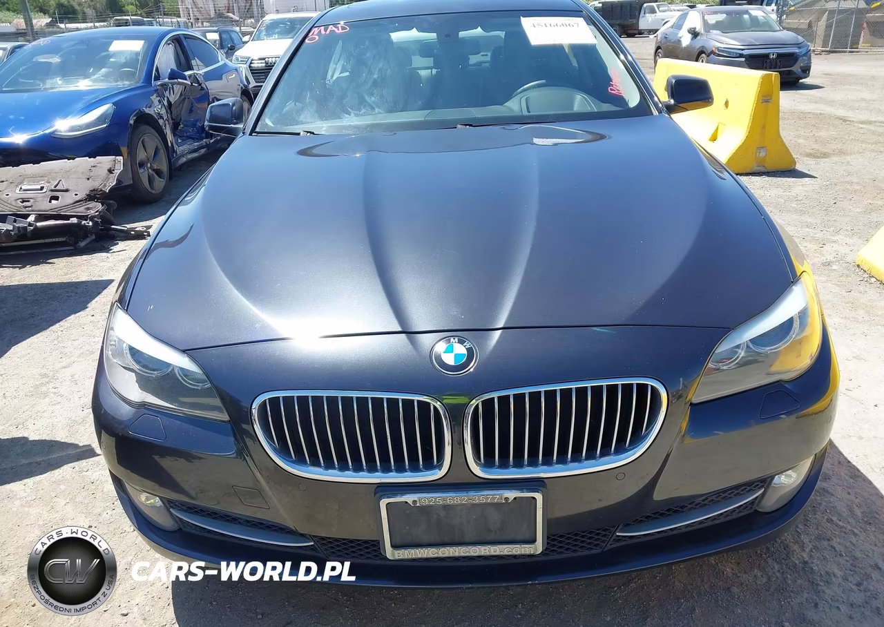 2013 BMW 528I VIN:WBAXG5C51DDY35549 - 6