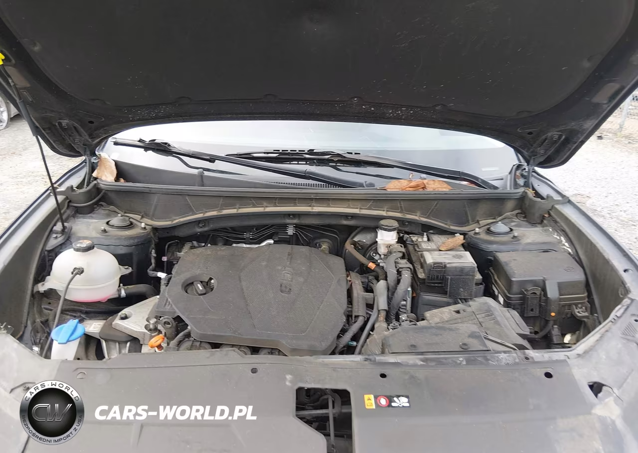 2024 Hyundai Tucson Sel VIN:5NMJBCDE7RH338904 - 10