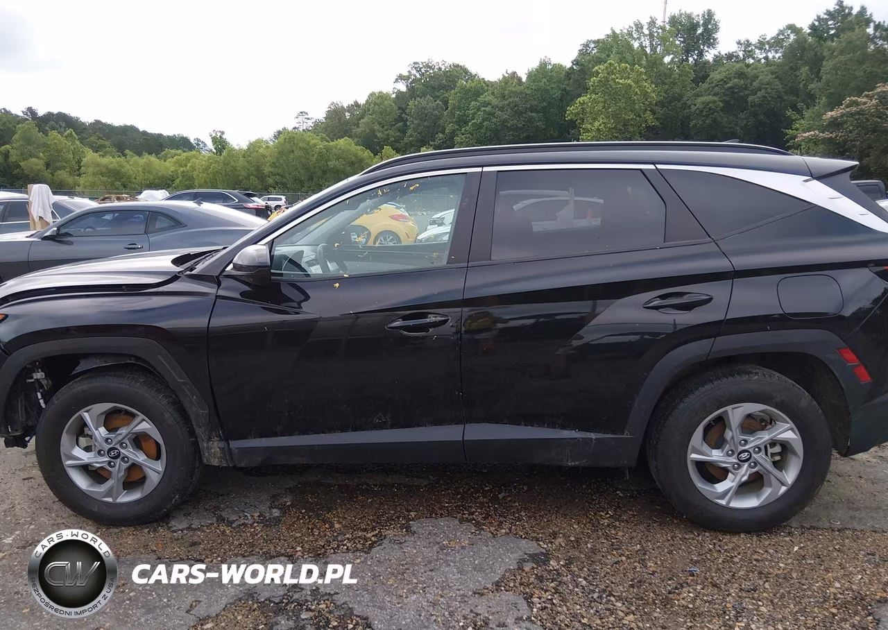 2024 Hyundai Tucson Sel VIN:5NMJBCDE7RH338904 - 15