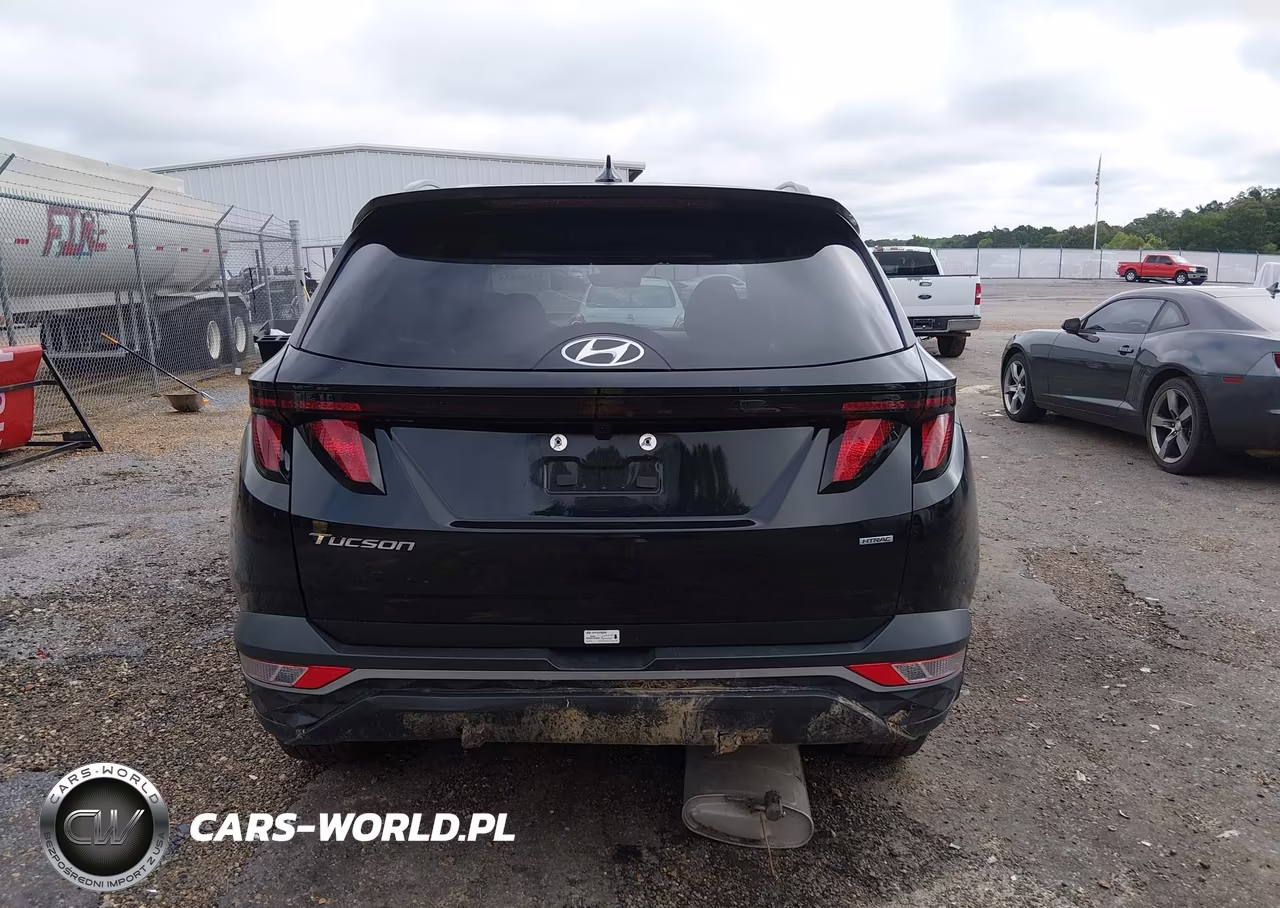 2024 Hyundai Tucson Sel VIN:5NMJBCDE7RH338904 - 17