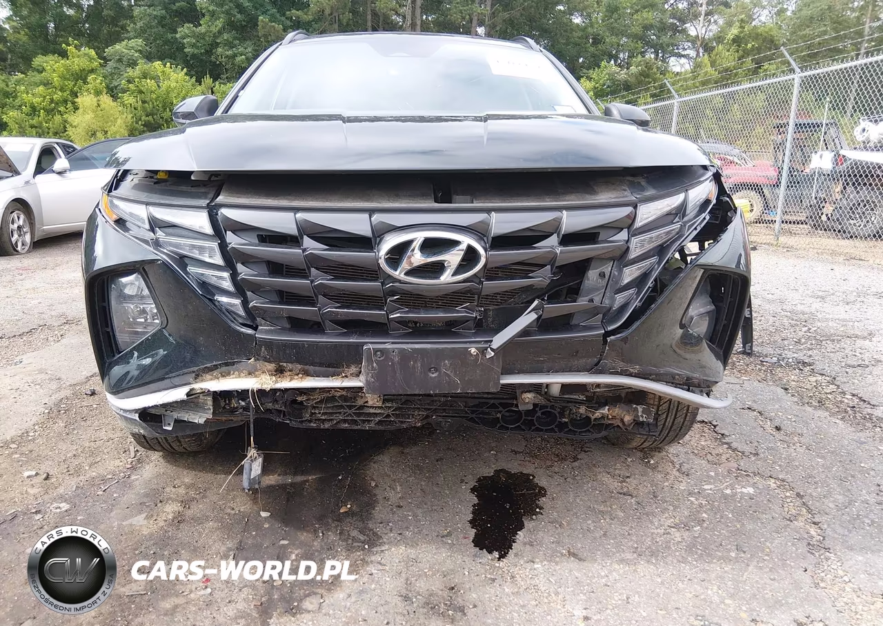 2024 Hyundai Tucson Sel VIN:5NMJBCDE7RH338904 - 19