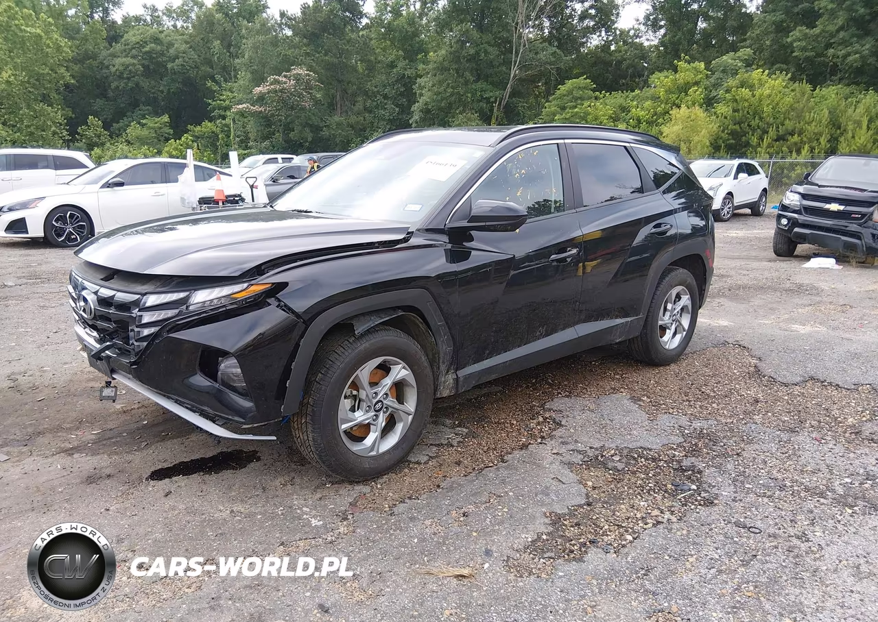 2024 Hyundai Tucson Sel VIN:5NMJBCDE7RH338904 - 2
