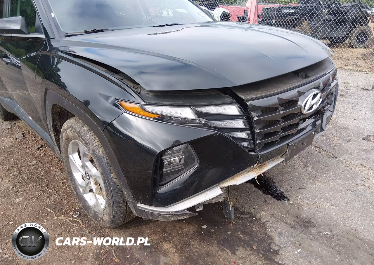 2024 Hyundai Tucson Sel VIN:5NMJBCDE7RH338904 - 21