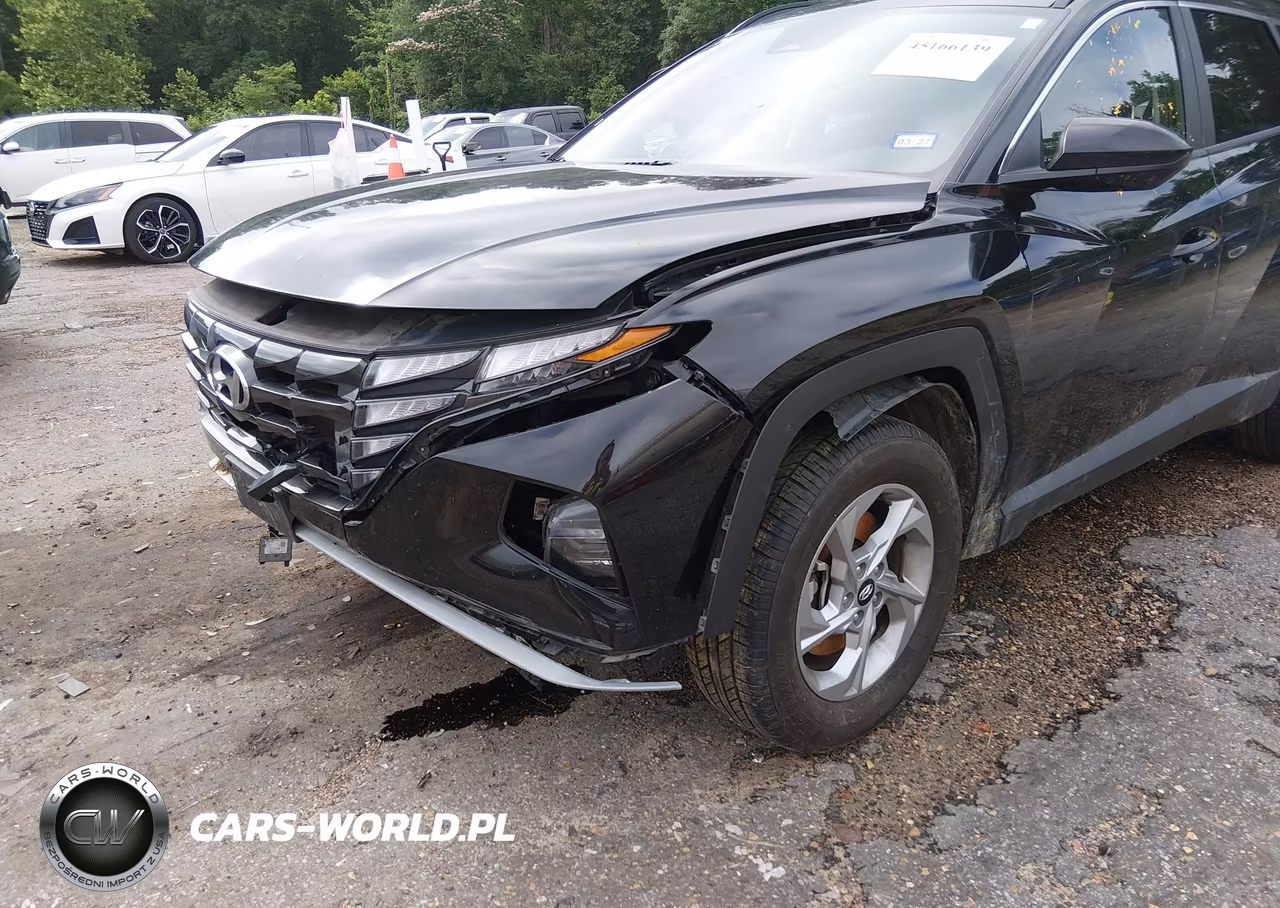2024 Hyundai Tucson Sel VIN:5NMJBCDE7RH338904 - 22
