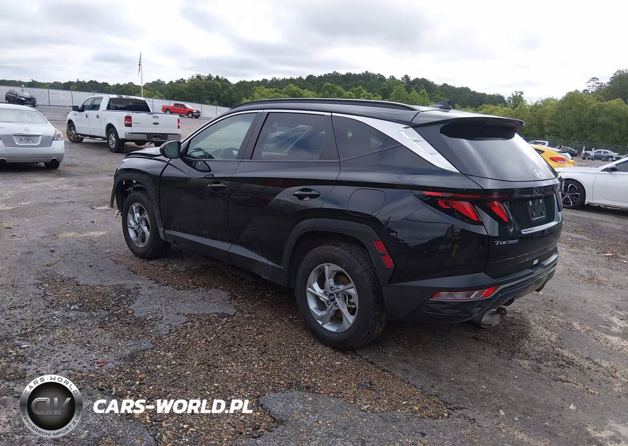2024 Hyundai Tucson Sel VIN:5NMJBCDE7RH338904 - 3