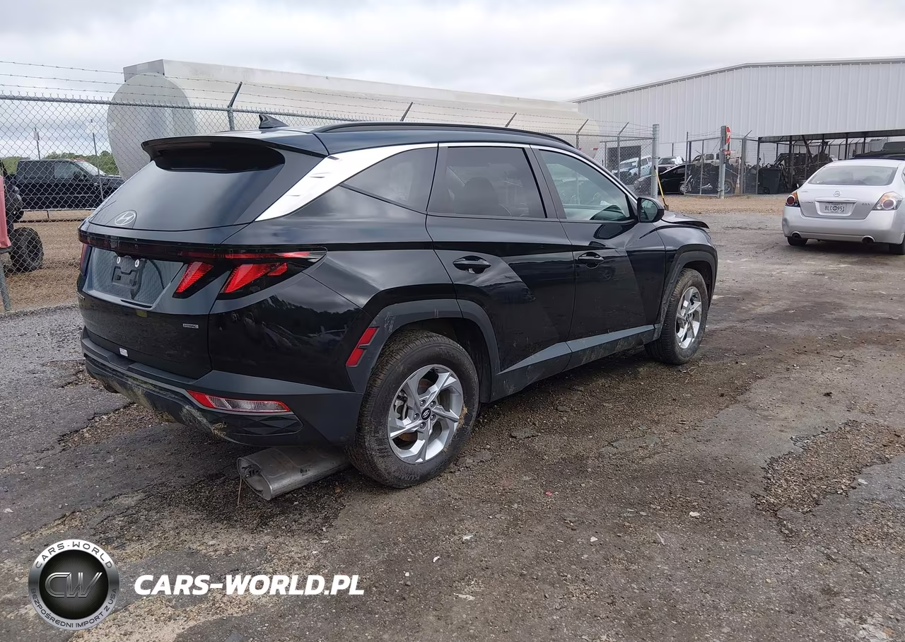 2024 Hyundai Tucson Sel VIN:5NMJBCDE7RH338904 - 4