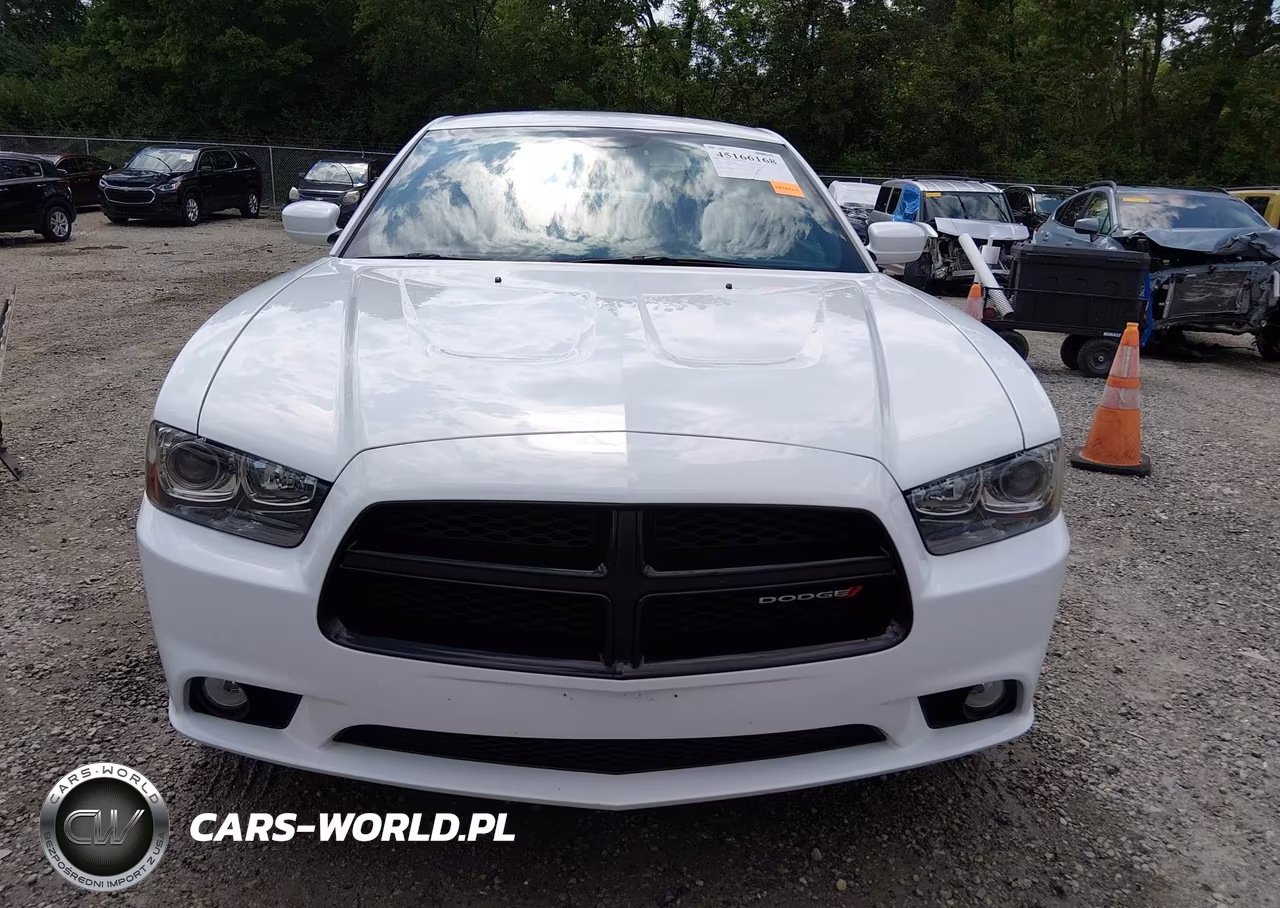 2014 Dodge Charger R-T VIN:2C3CDXDT6EH296339 - 13