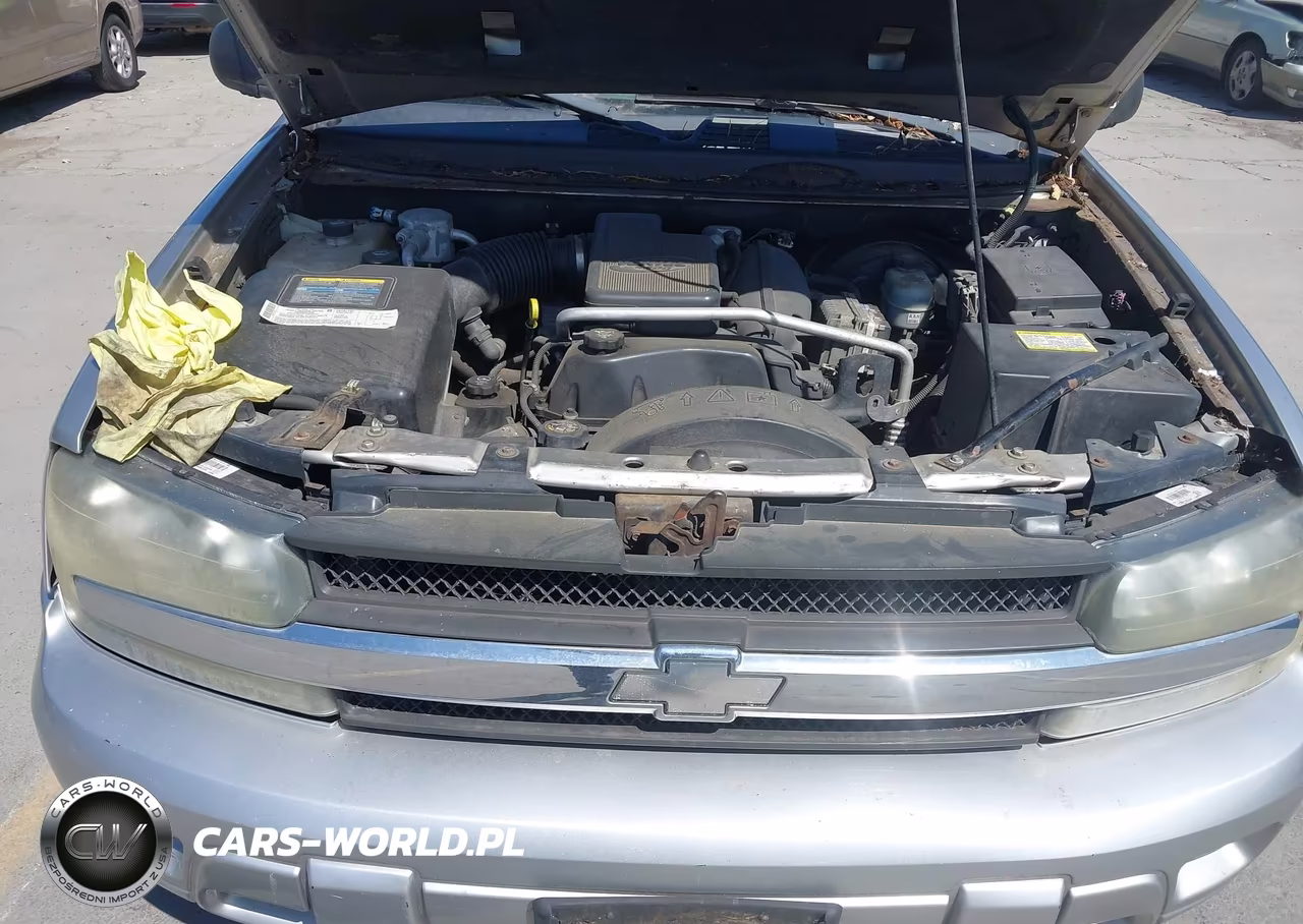 2004 Chevrolet Trailblazer Ls VIN:1GNDS13S542377245 - 10