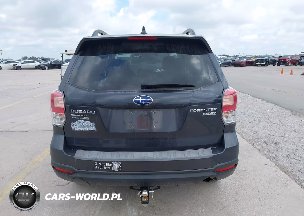 2017 Subaru Forester 2.5I Premium VIN:JF2SJAGC7HH550029 - 16
