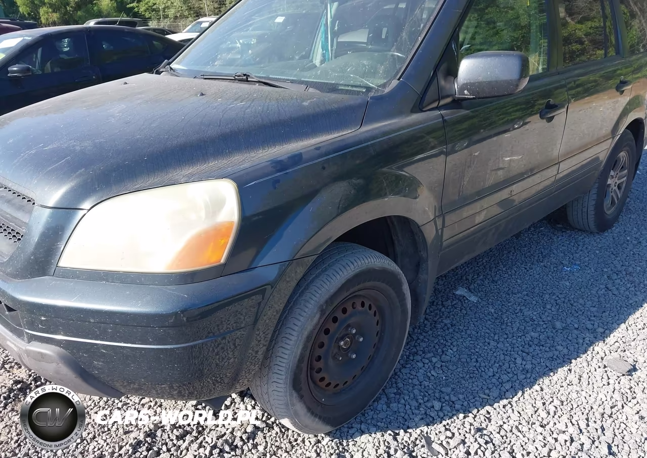 2004 Honda Pilot Ex-L VIN:2HKYF18614H509264 - 6