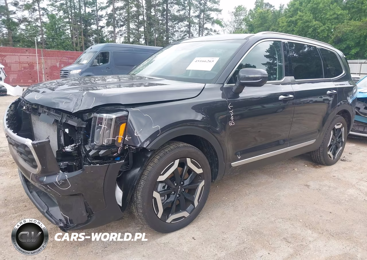2025 Kia Telluride S VIN:5XYP64GC3SG731166 - 2