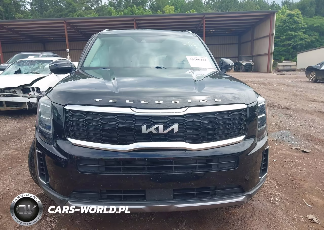 2022 Kia Telluride Ex VIN:5XYP34HC3NG301326 - 13