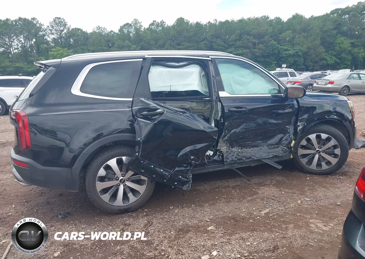 2022 Kia Telluride Ex VIN:5XYP34HC3NG301326 - 14