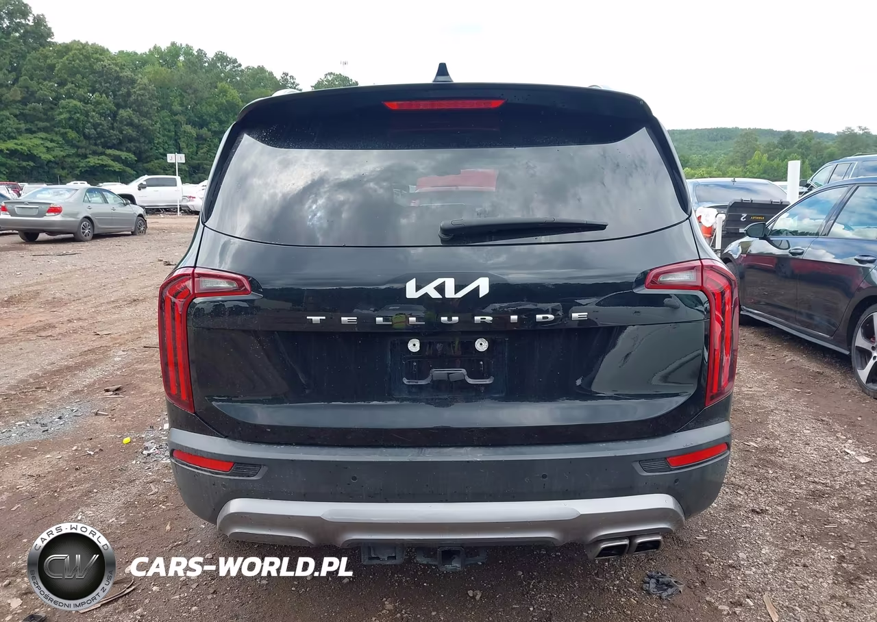 2022 Kia Telluride Ex VIN:5XYP34HC3NG301326 - 17