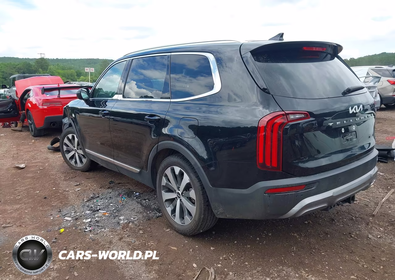 2022 Kia Telluride Ex VIN:5XYP34HC3NG301326 - 3