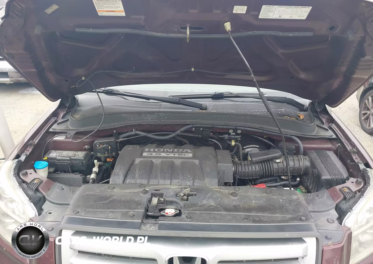 2008 Honda Pilot Ex-L VIN:5FNYF18538B024460 - 10