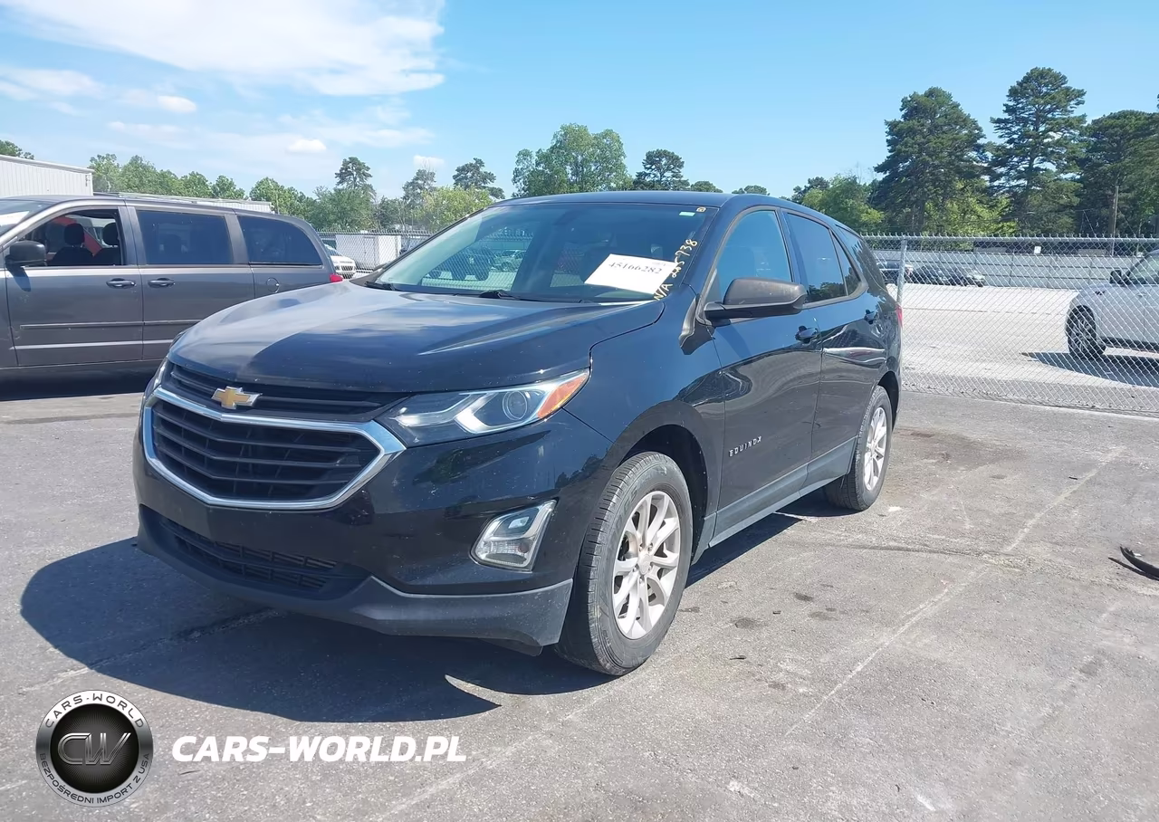 2019 Chevrolet Equinox Ls VIN:3GNAXHEV5KL265738 - 2