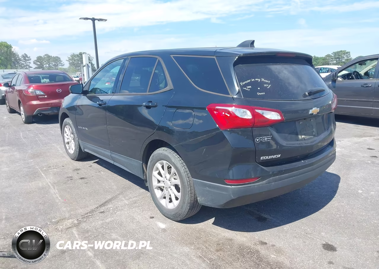 2019 Chevrolet Equinox Ls VIN:3GNAXHEV5KL265738 - 3