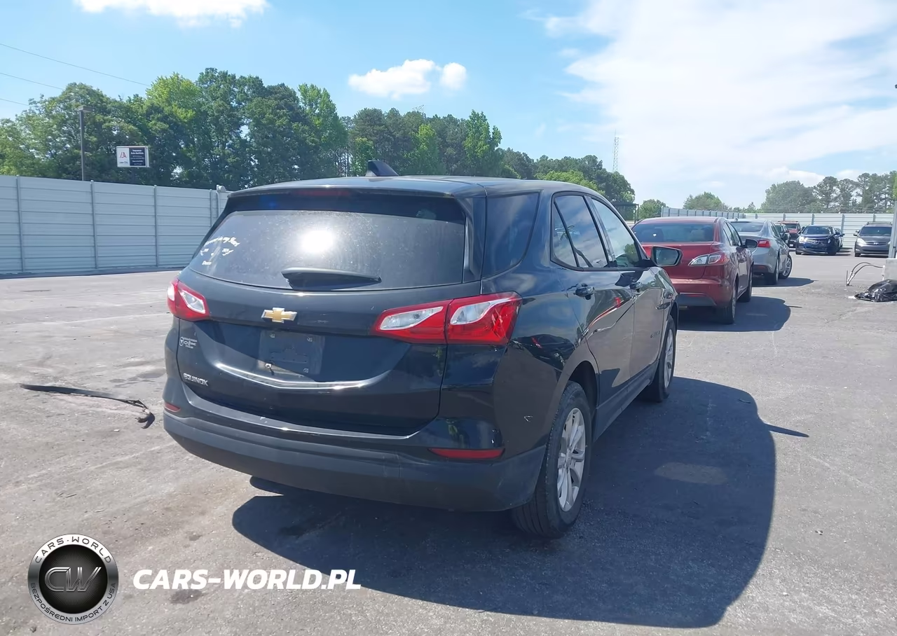 2019 Chevrolet Equinox Ls VIN:3GNAXHEV5KL265738 - 4