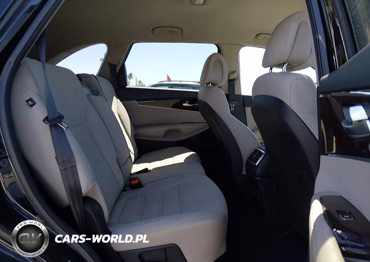 2016 Kia Sorento 2.4L Lx VIN:5XYPG4A35GG060063 - 8