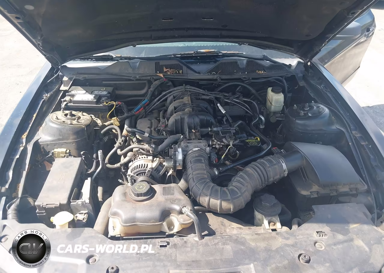 2010 Ford Mustang V6 VIN:1ZVBP8EN4A5172220 - 10