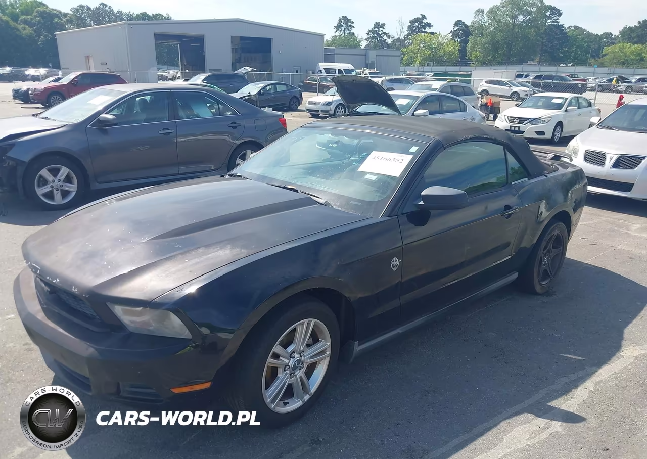 2010 Ford Mustang V6 VIN:1ZVBP8EN4A5172220 - 2