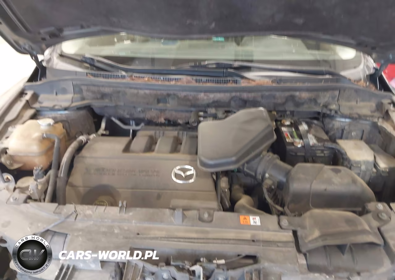 2011 Mazda Cx-9 Touring VIN:JM3TB2CA7B0331188 - 10