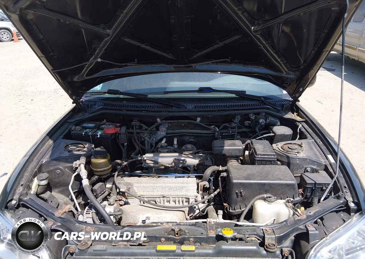 1998 Toyota Rav4 VIN:JT3HP10V4W7093495 - 10