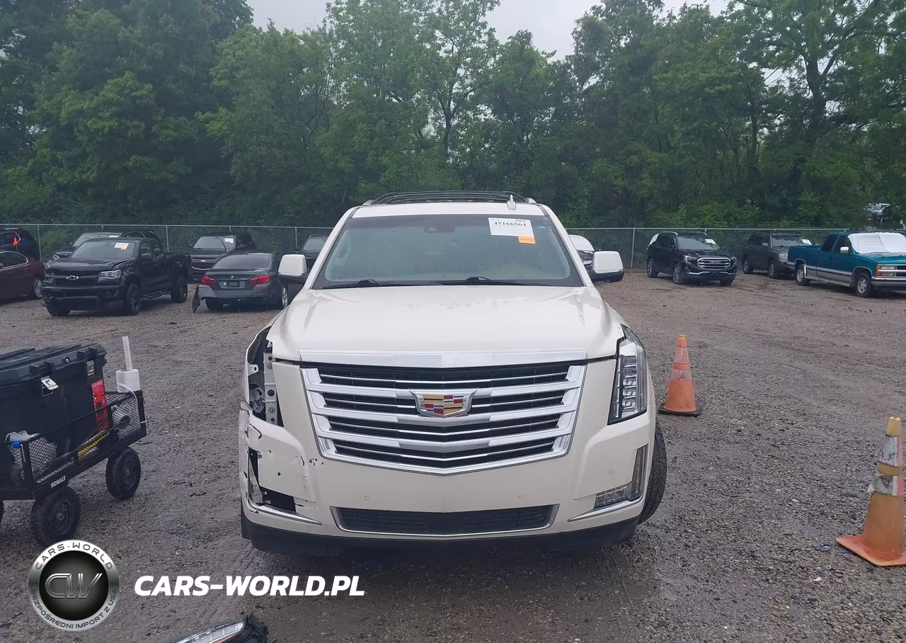 2015 Cadillac Escalade Platinum VIN:1GYS4PKJ8FR663133 - 12