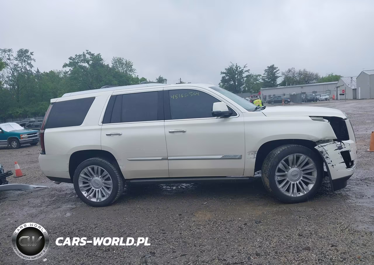 2015 Cadillac Escalade Platinum VIN:1GYS4PKJ8FR663133 - 13