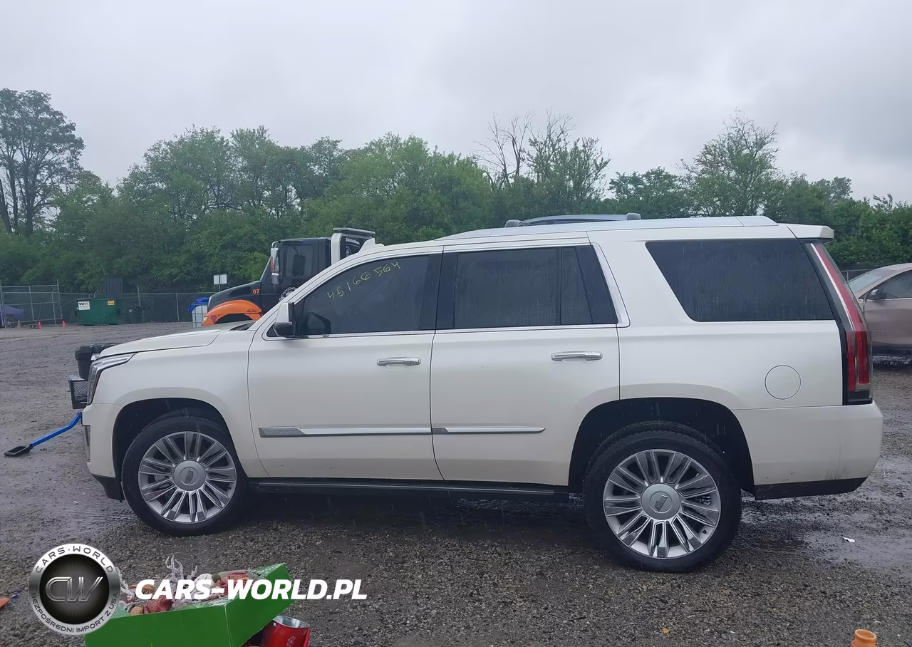 2015 Cadillac Escalade Platinum VIN:1GYS4PKJ8FR663133 - 14