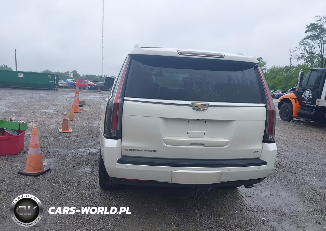 2015 Cadillac Escalade Platinum VIN:1GYS4PKJ8FR663133 - 16