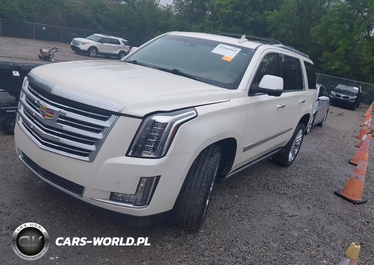 2015 Cadillac Escalade Platinum VIN:1GYS4PKJ8FR663133 - 2