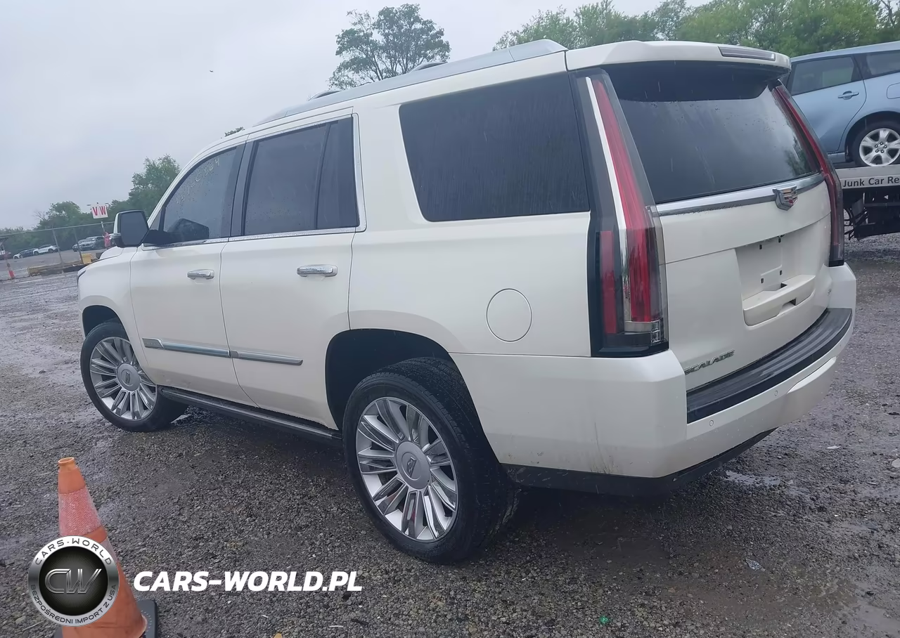 2015 Cadillac Escalade Platinum VIN:1GYS4PKJ8FR663133 - 3