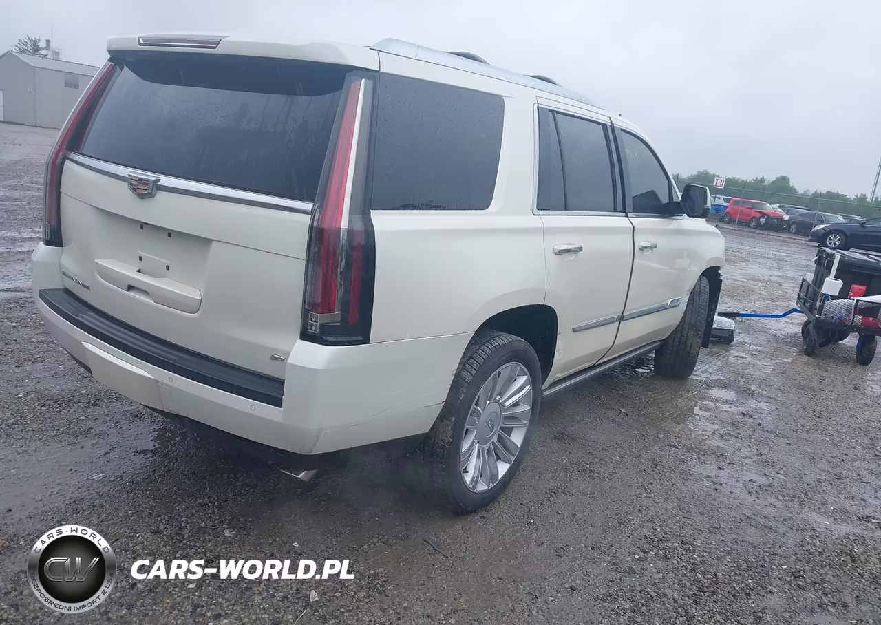 2015 Cadillac Escalade Platinum VIN:1GYS4PKJ8FR663133 - 4