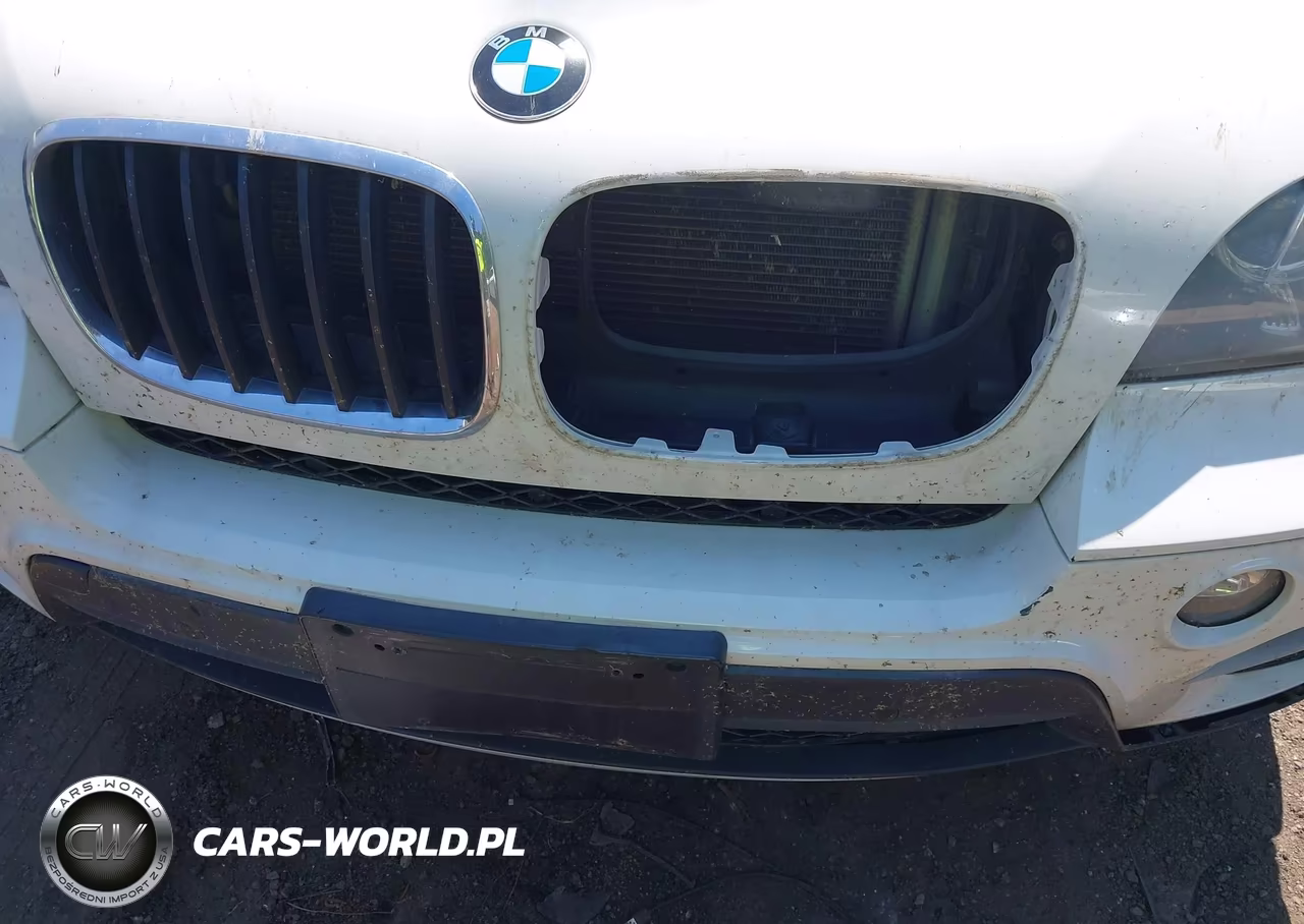 2012 BMW X5 xDrive35I-xDrive35I Premium-xDrive35I Sport Activity VIN:5UXZV4C59CL759576 - 6