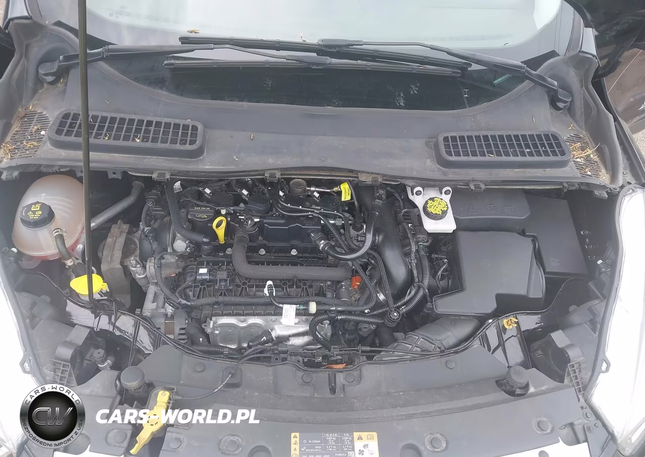 2019 Ford Escape Se VIN:1FMCU9GD2KUB24308 - 10